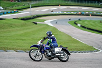 enduro-digital-images;event-digital-images;eventdigitalimages;lydden-hill;lydden-no-limits-trackday;lydden-photographs;lydden-trackday-photographs;no-limits-trackdays;peter-wileman-photography;racing-digital-images;trackday-digital-images;trackday-photos